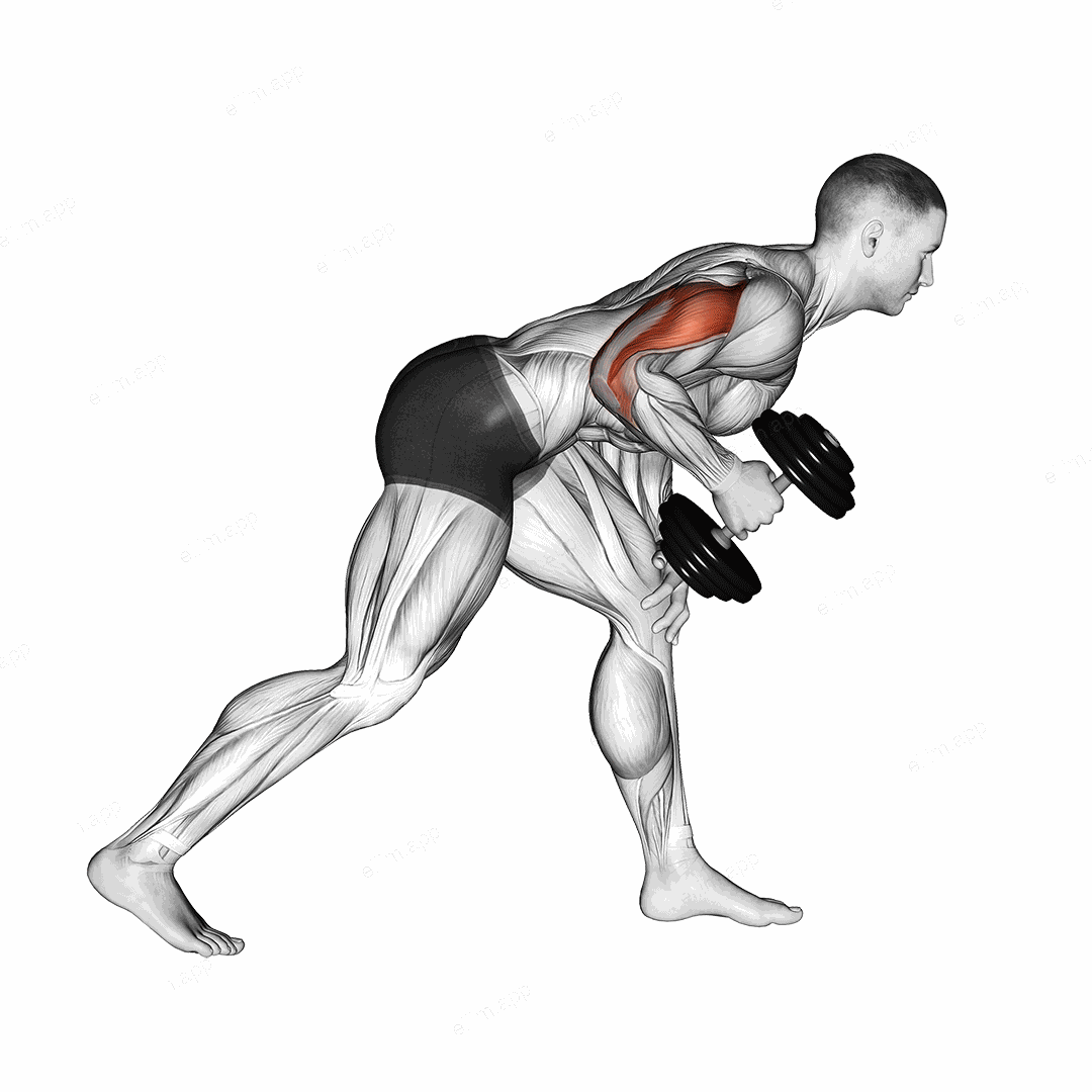 Dumbbell One Arm Kickback exercise targeting Upper Arms and Triceps Brachii