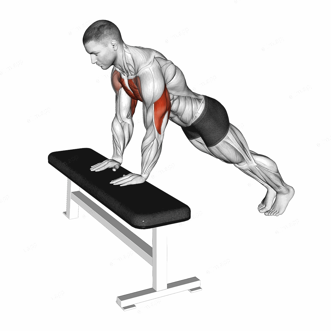 Incline Close Grip Push-up exercise targeting Upper Arms and Pectoralis Major Clavicular Head