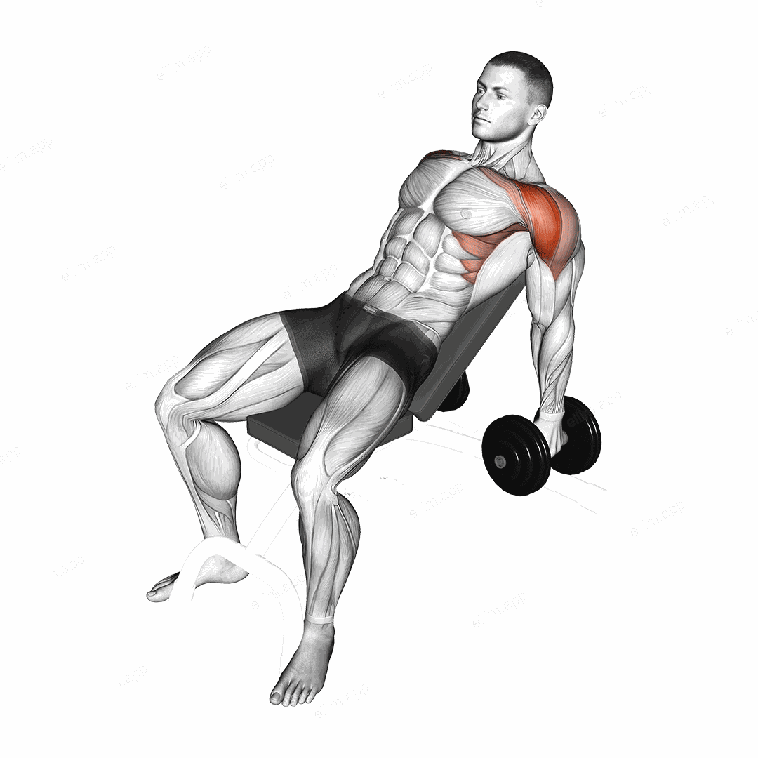 Dumbbell Incline Raise exercise targeting Shoulders and Deltoid Anterior