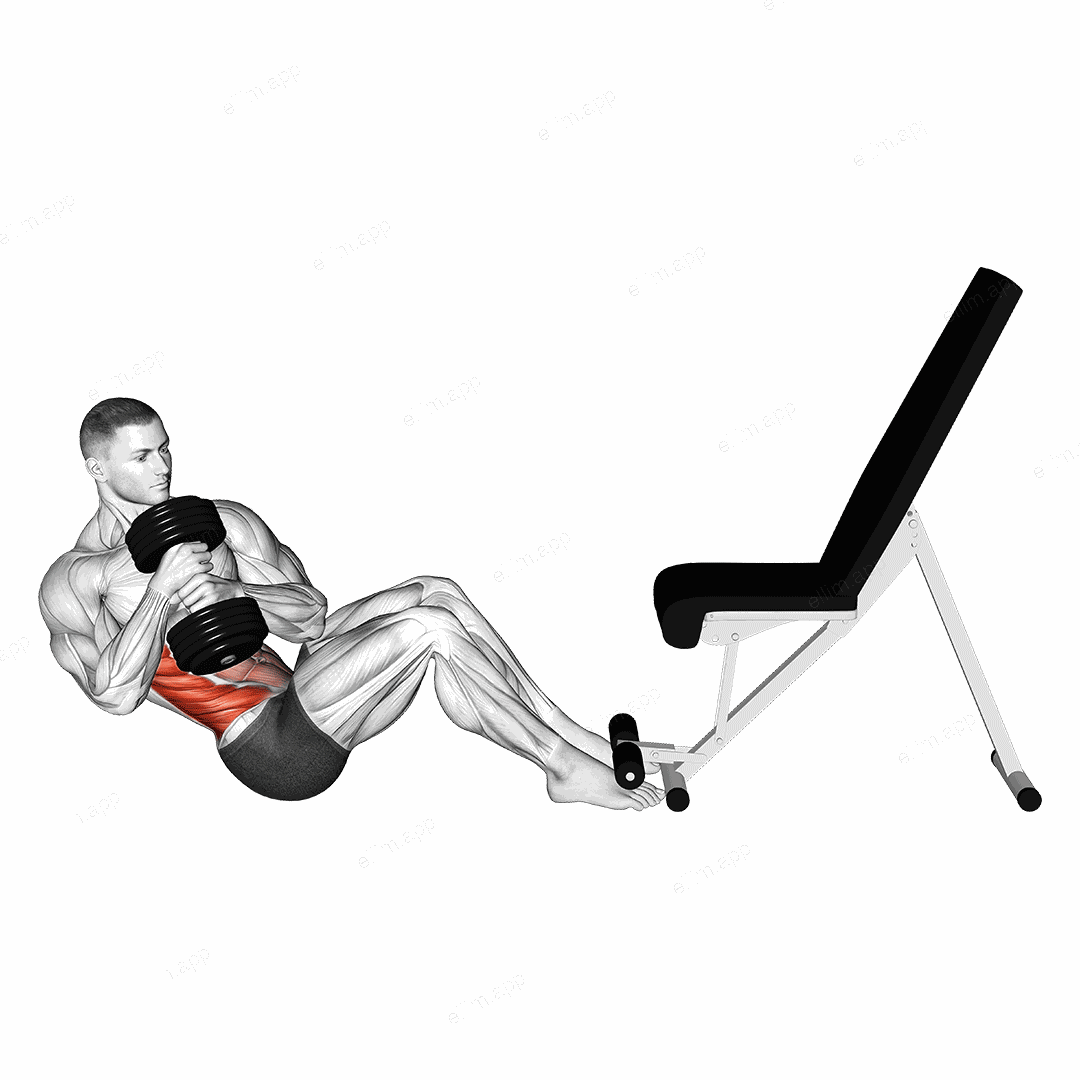 Dumbbell Russian Twist exercise targeting Waist and Obliques