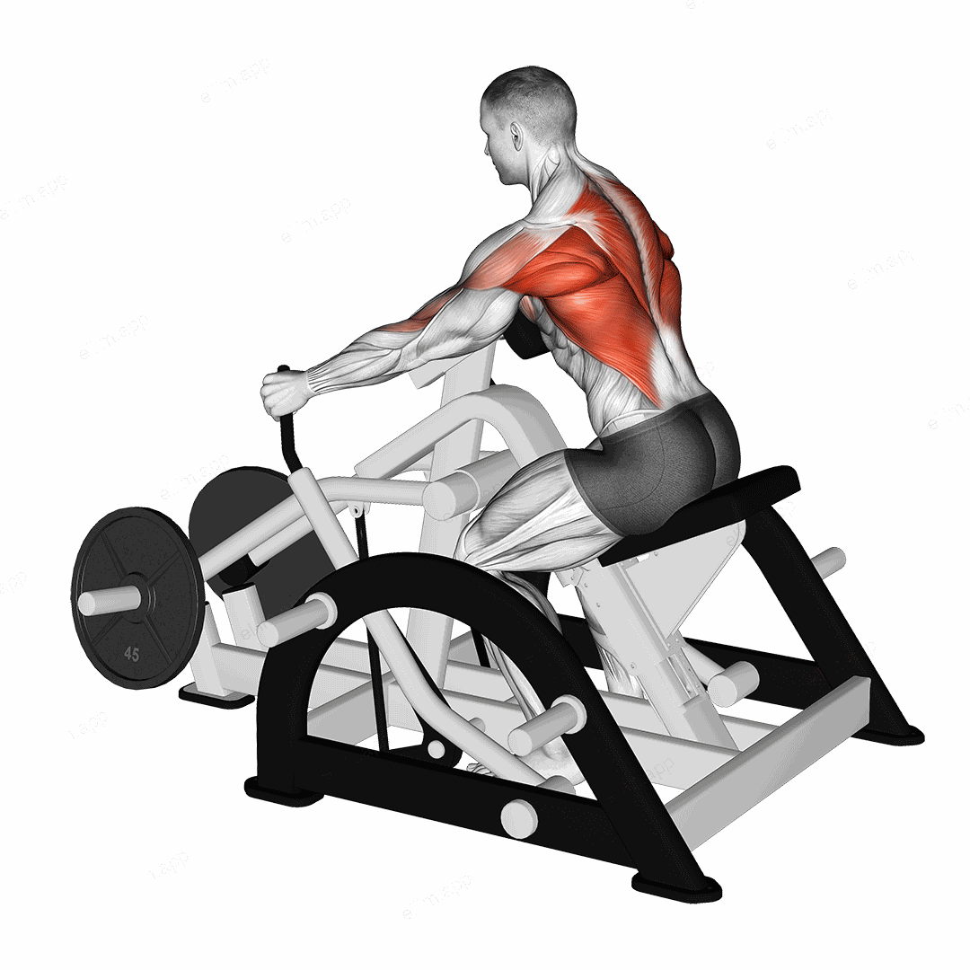Lever Seated Row (plate loaded) exercise targeting Back and Infraspinatus