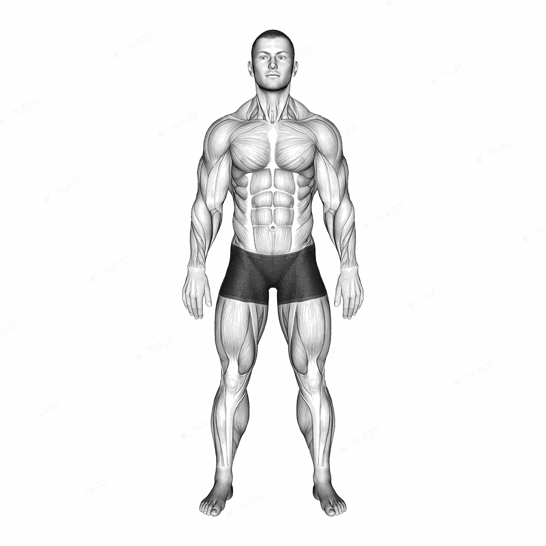 Standing Hands Position (Pronation Supination Neutral) exercise targeting Forearms
