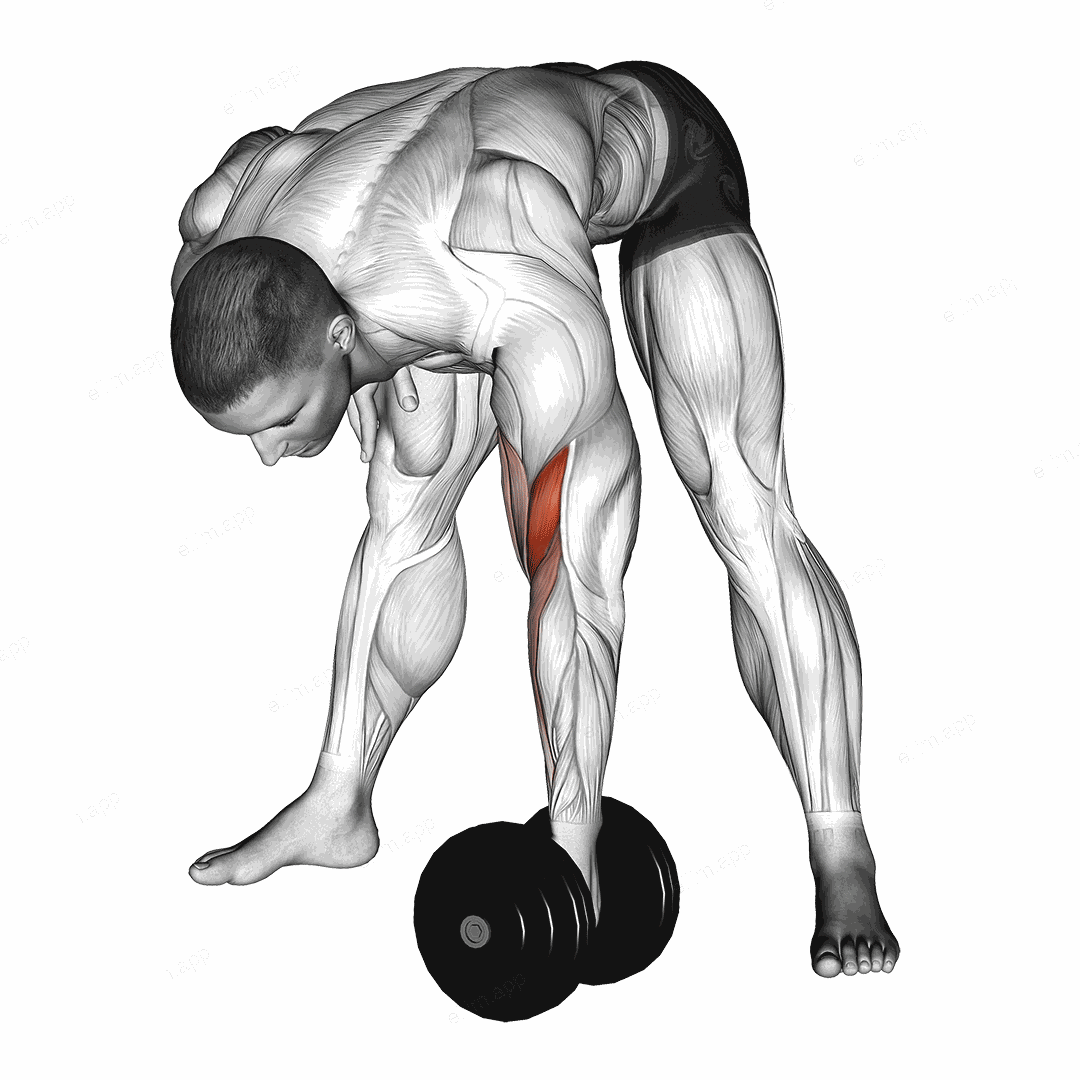 Dumbbell Standing Concentration Curl exercise targeting Upper Arms and Brachialis