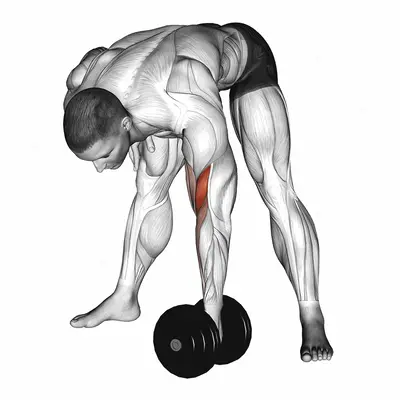 Dumbbell Standing Concentration Curl exercise targeting Upper Arms and Brachialis