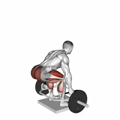 Trap Bar Deadlift from Deficit exercise targeting Hips