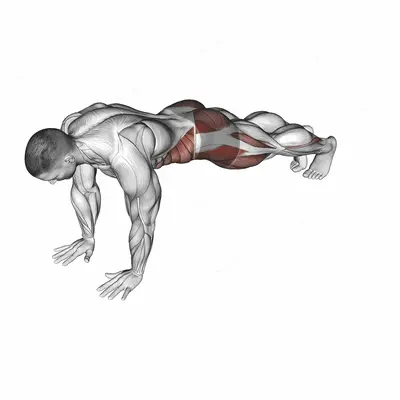 Front Plank Toe Tap exercise targeting Waist and Gluteus Medius