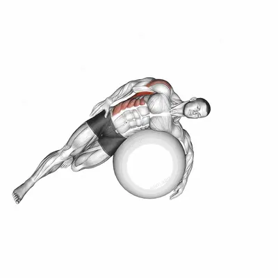 Exercise Ball Lying Side Lat Stretch exercise targeting Back and Latissimus Dorsi