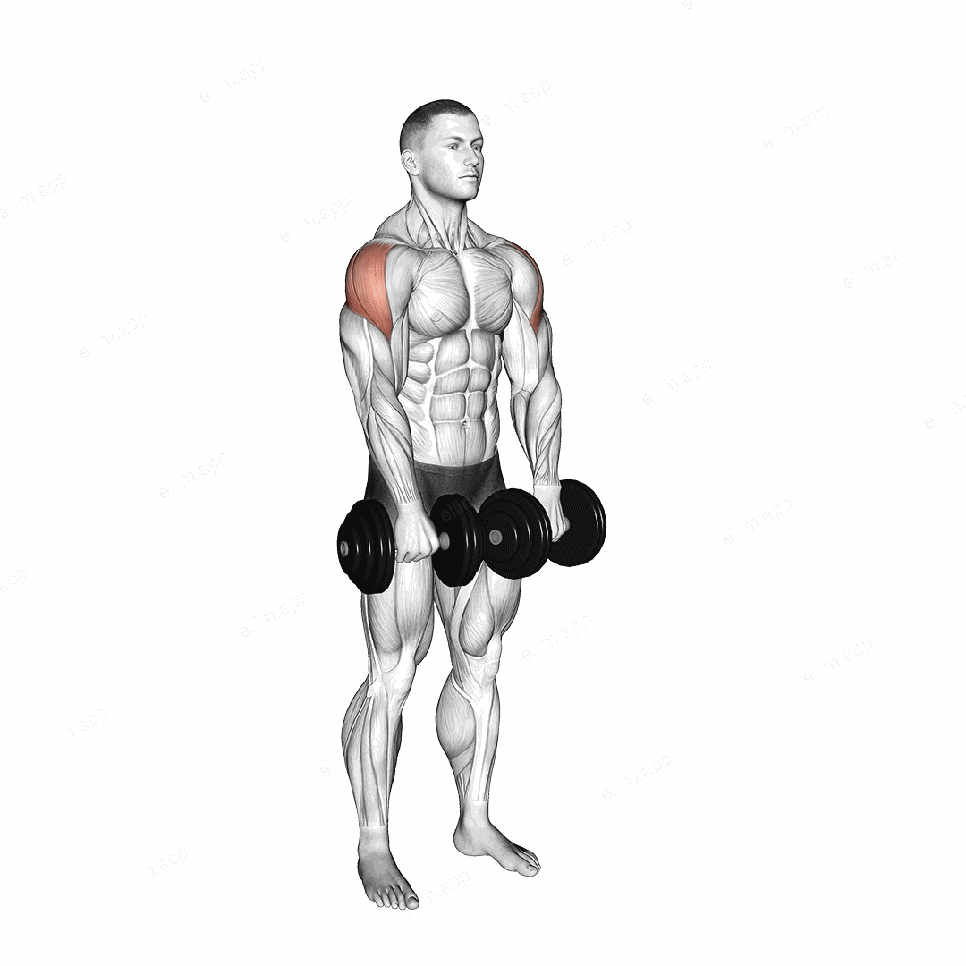 Dumbbell Empty Can Exercise exercise targeting Shoulders