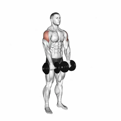 Dumbbell Empty Can Exercise exercise targeting Shoulders