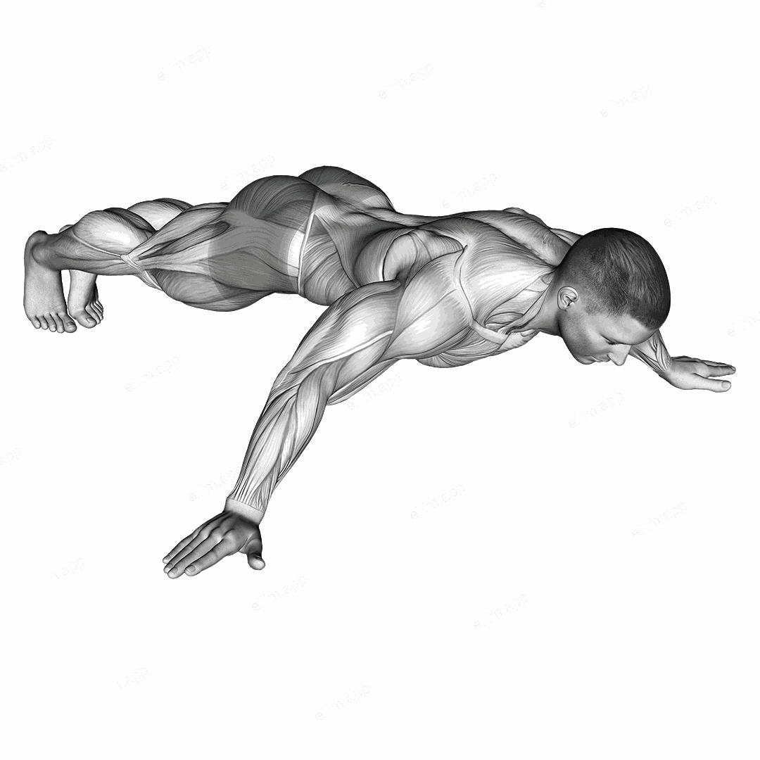Iron Cross Plank exercise targeting Back and Gluteus Maximus