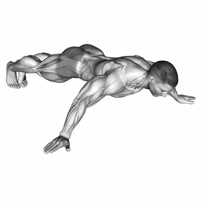 Iron Cross Plank exercise targeting Back and Gluteus Maximus