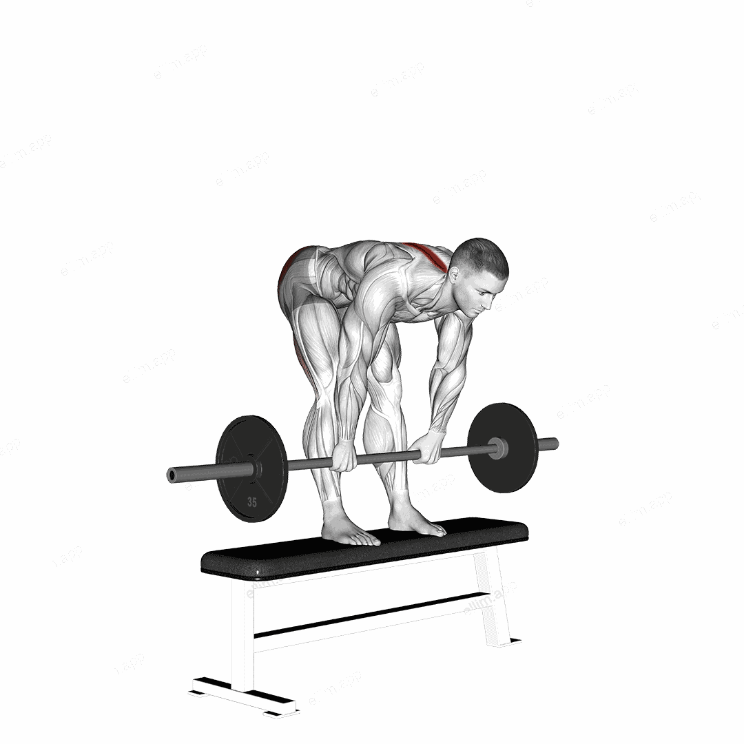 Barbell Stiff Leg Deadlift on Bench exercise targeting Hips