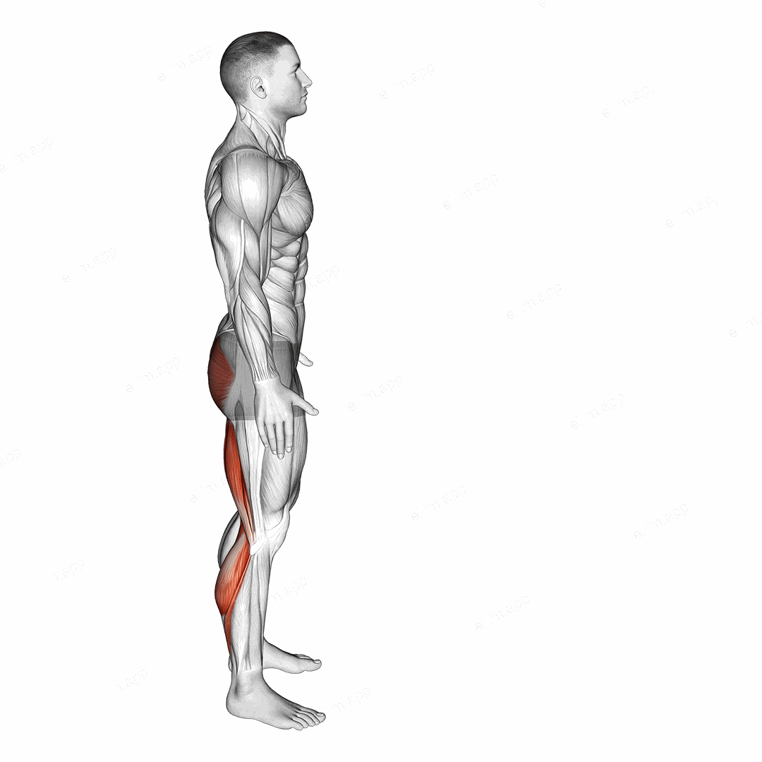 Runners Stretch exercise targeting Thighs and Gastrocnemius