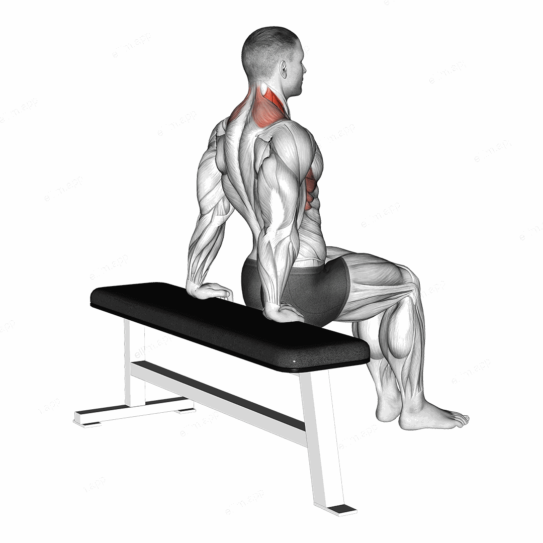 Scapula Dips exercise targeting Back and Levator Scapulae