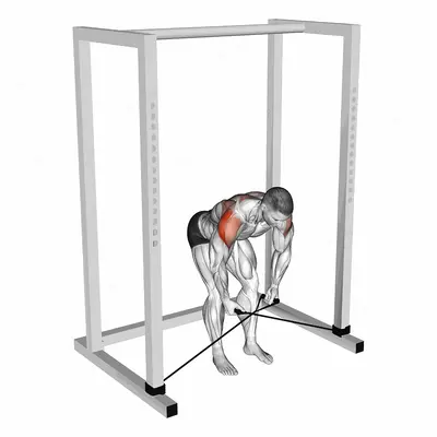 Band bent over rear lateral raise exercise targeting Shoulders