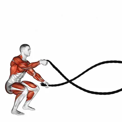 Battling Ropes Alternate Arms Jump Squat exercise targeting Back and Chest