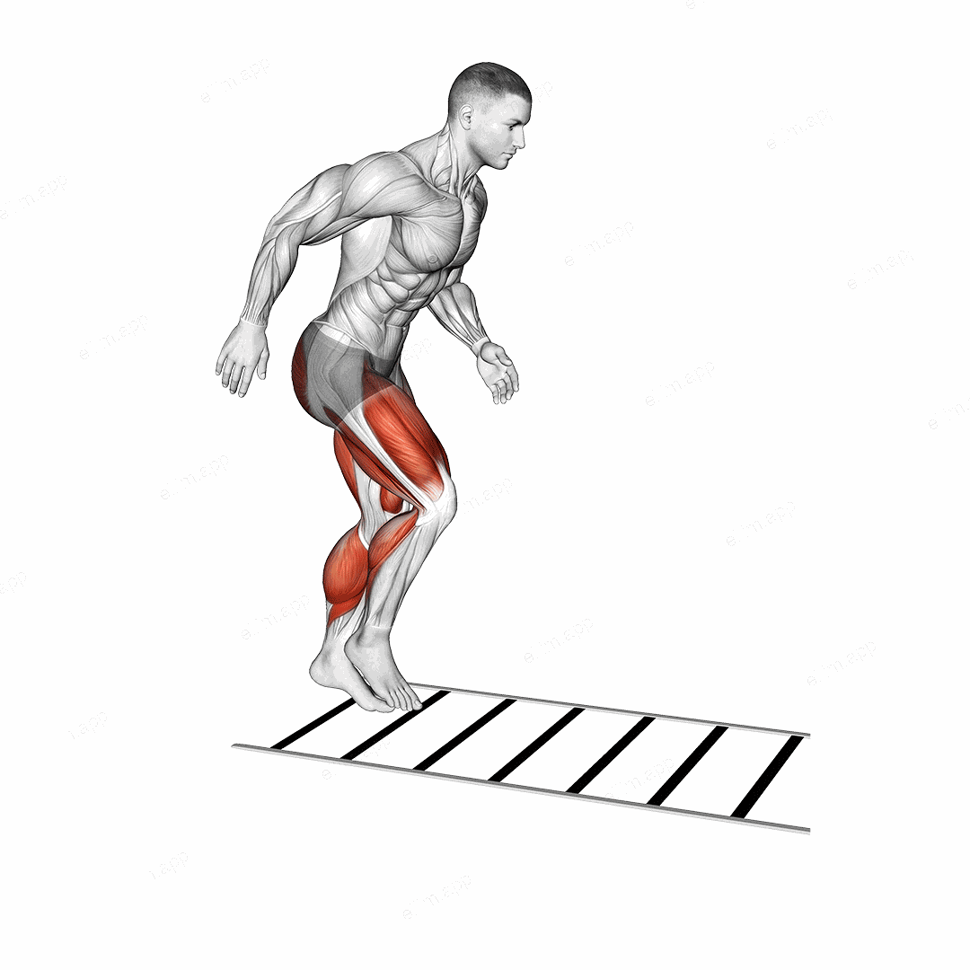 Ladder Drill exercise targeting Plyometrics