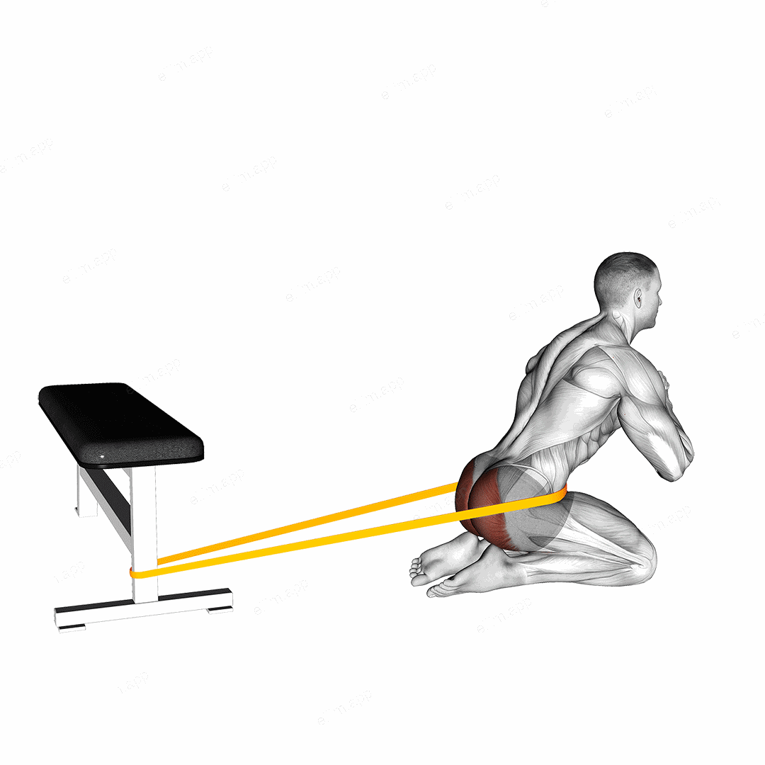 Resistance Band Hip Thrusts on Knees exercise targeting Hips