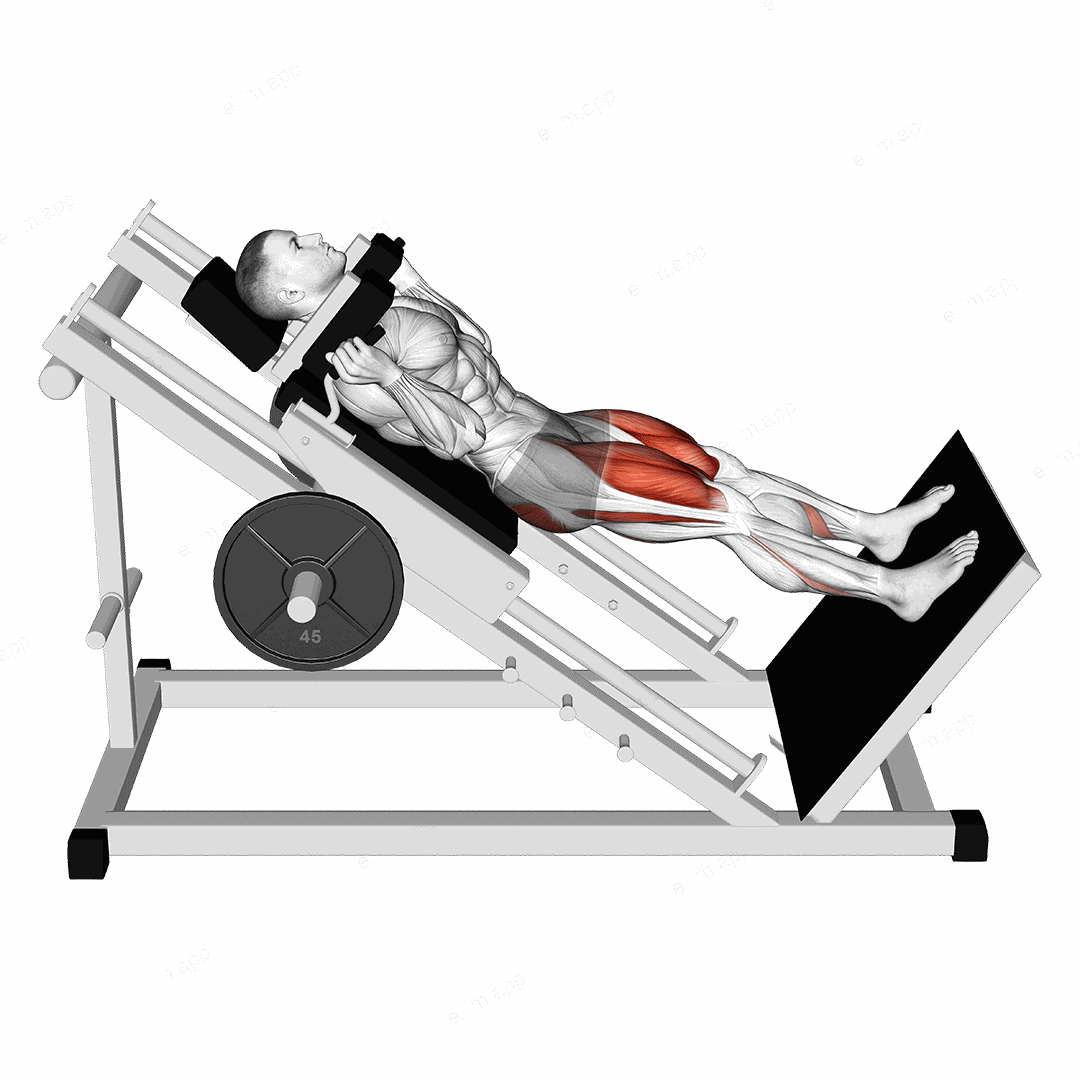 Sled Full Hack Squat exercise targeting Thighs