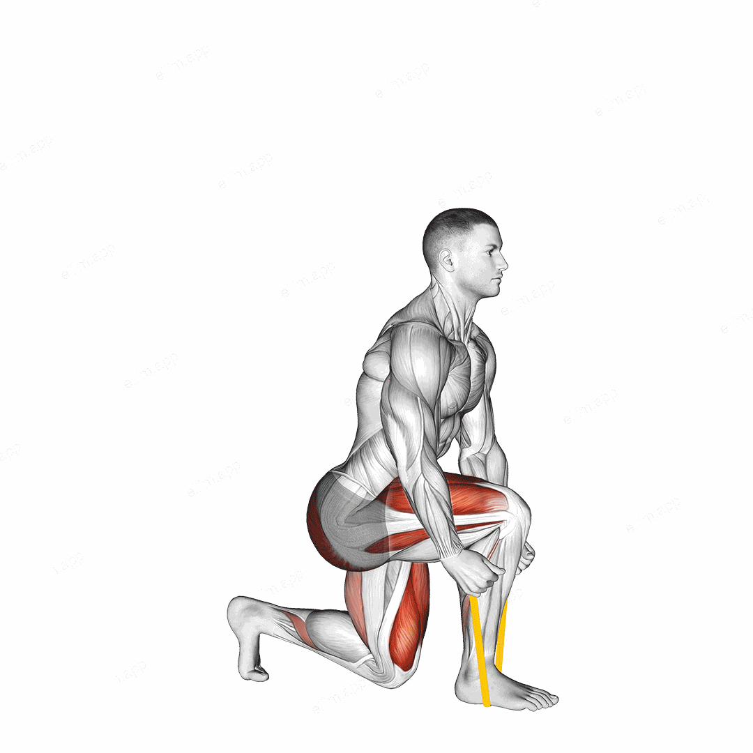 Resistance Band Split Squat exercise targeting Thighs and Gluteus Maximus