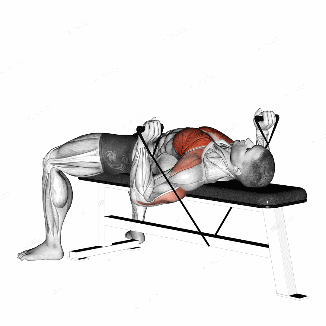 Band Bench Press exercise targeting Chest and Pectoralis Major Clavicular Head