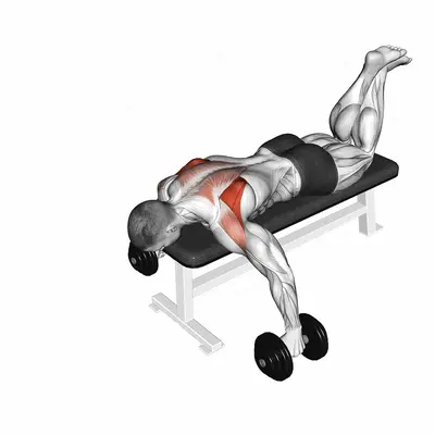 Dumbbell Prone Full Can Exercise exercise targeting Shoulders