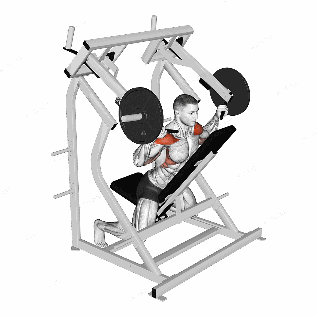 Lever Reverse Shoulder Press (plate loaded) exercise targeting Shoulders