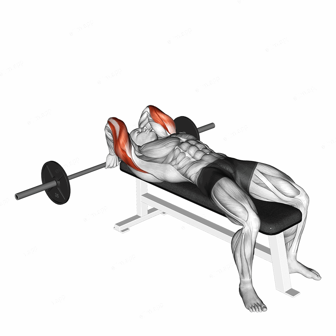 Barbell Lying Back of the Head Tricep Extension exercise targeting Upper Arms