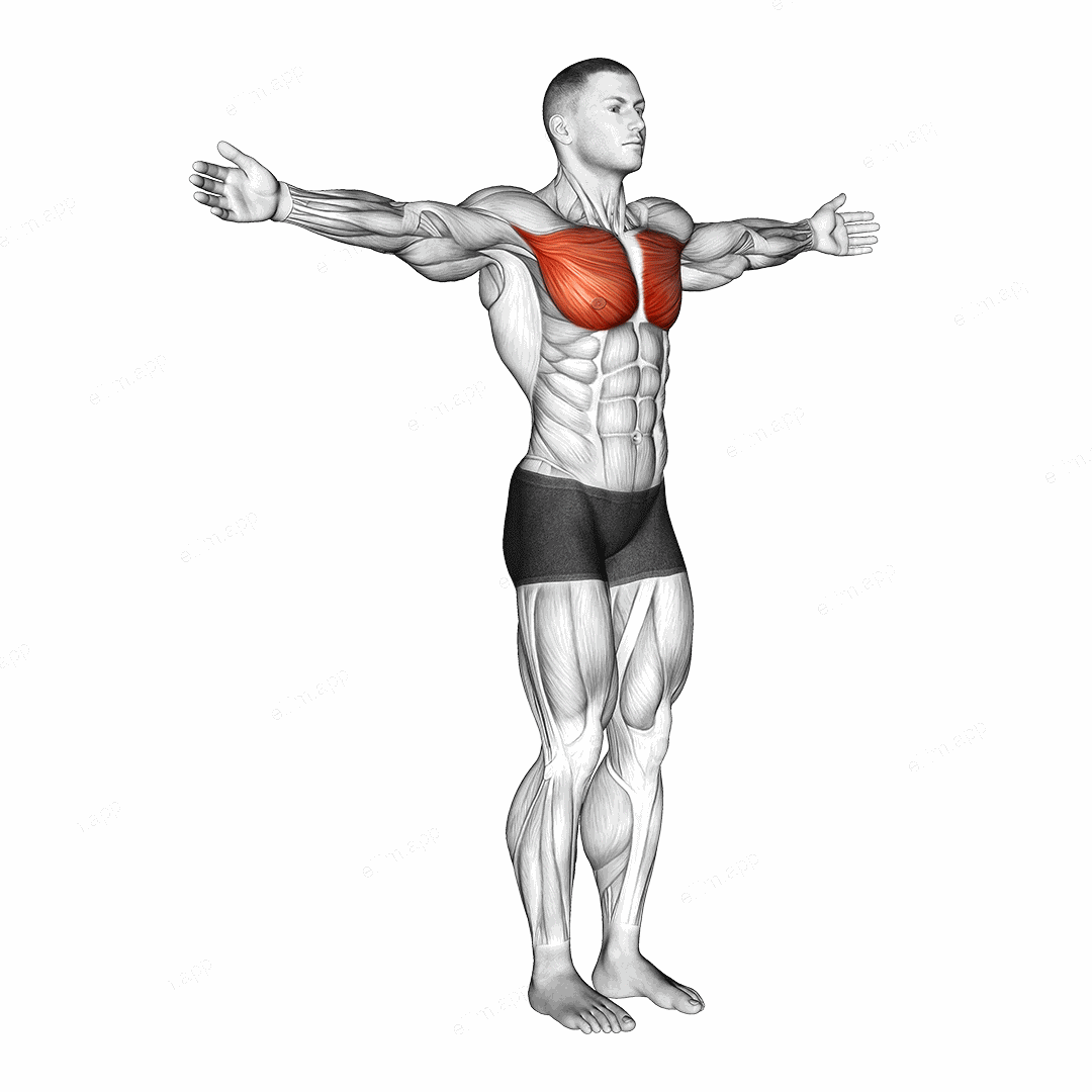 Shoulder - Transverse Adduction exercise targeting Shoulders