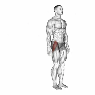 Hip - Abduction exercise targeting Hips