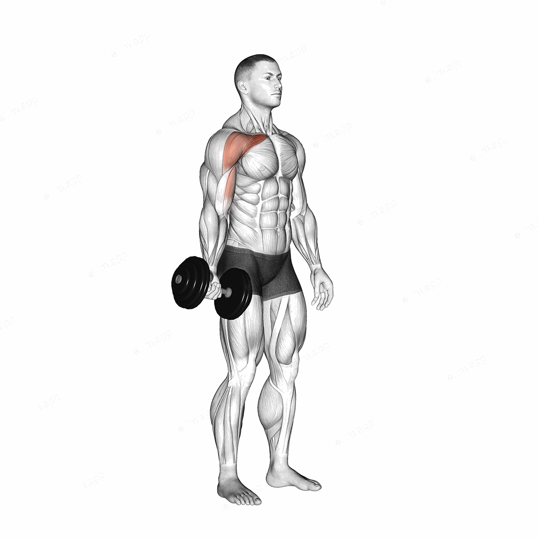 Dumbbell One Arm Low Fly exercise targeting Chest and Pectoralis Major Clavicular Head
