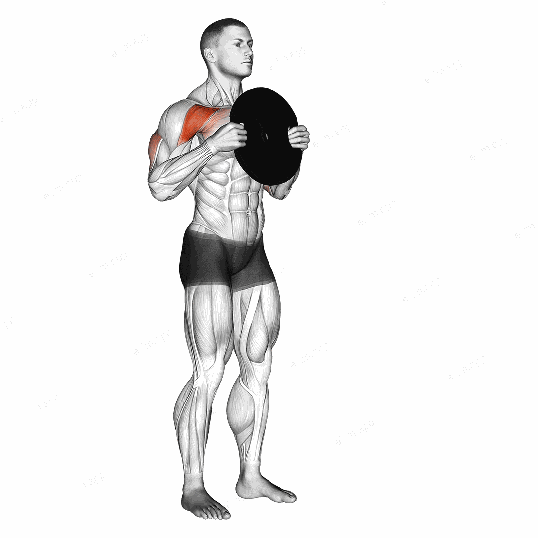 Standing Plate Presses exercise targeting Shoulders and Deltoid Anterior