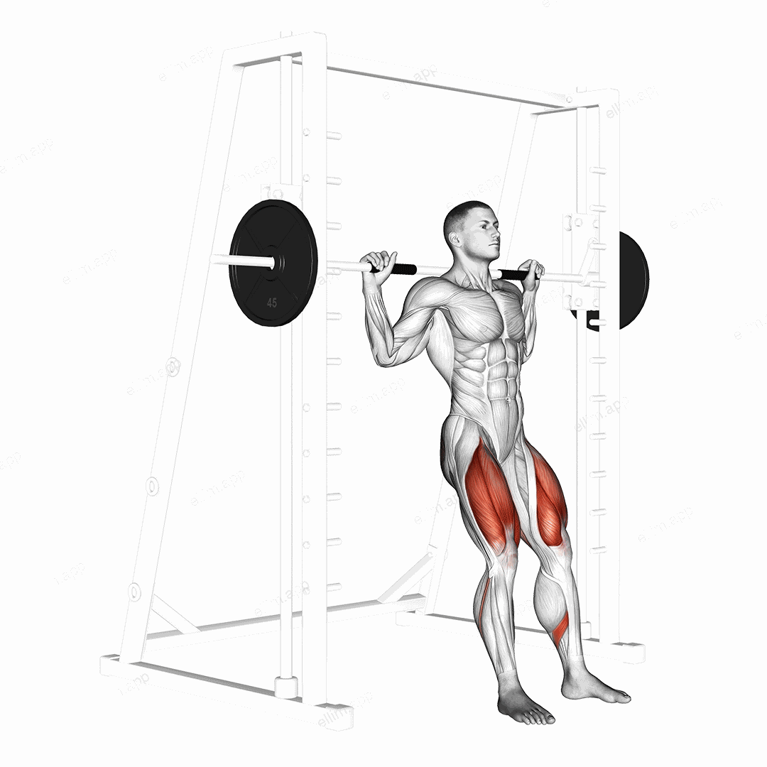 Smith Chair Squat exercise targeting Thighs and Quadriceps