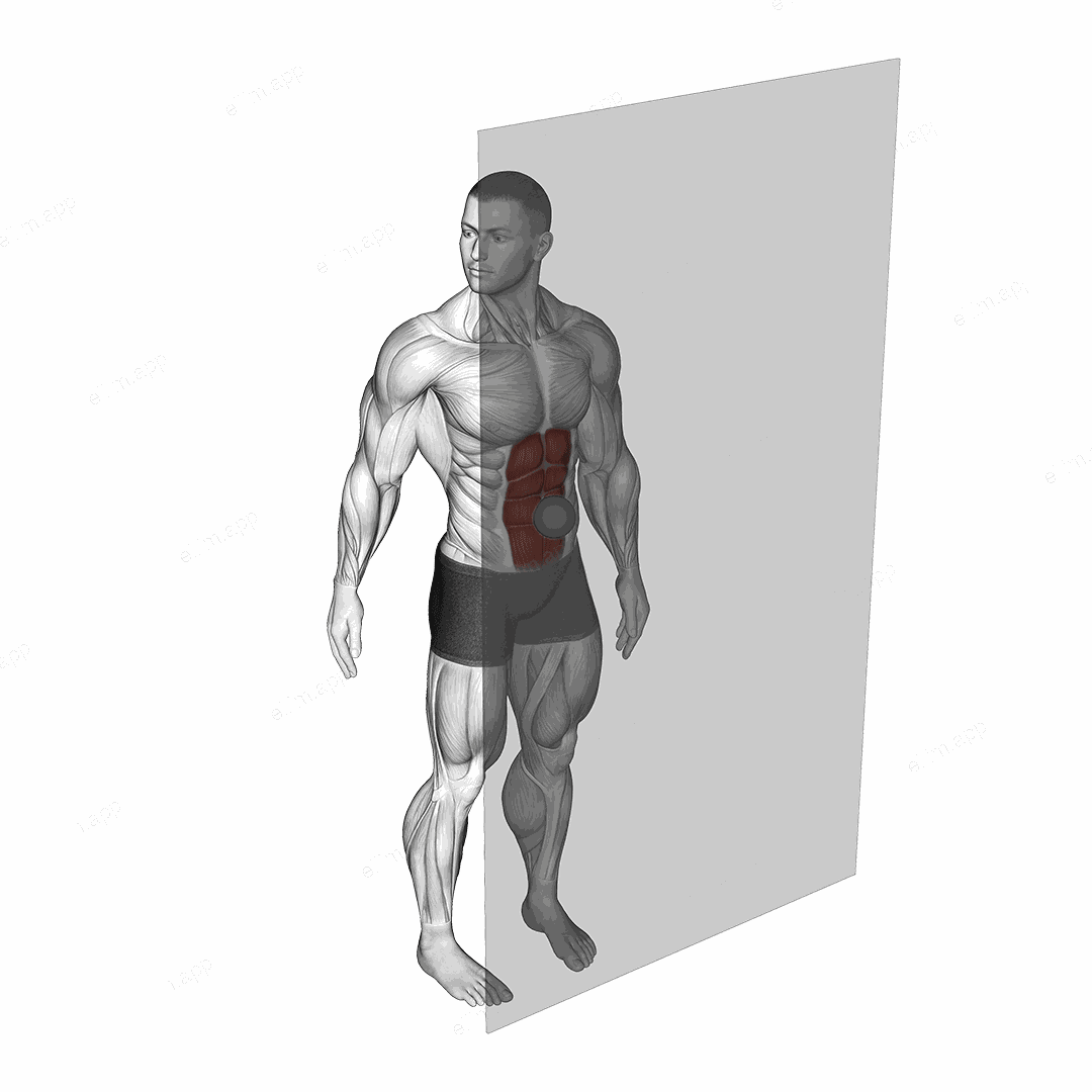 Roll Ball Rectus Abdominis exercise targeting Waist