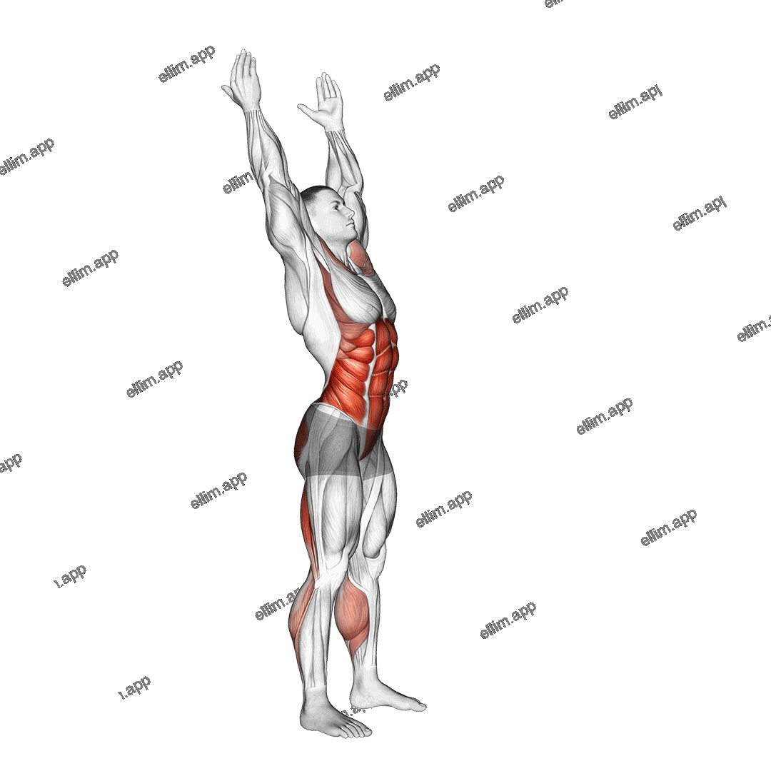 Side-to-Side Toe Touch exercise targeting Waist