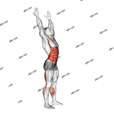 Side-to-Side Toe Touch exercise targeting Waist