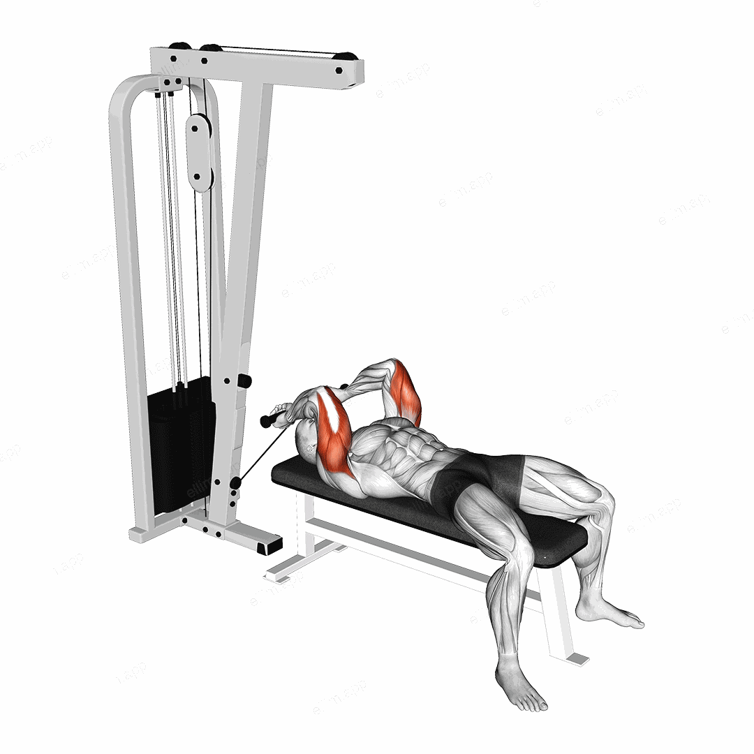 Cable Lying Triceps Extension (Low) exercise targeting Upper Arms and Triceps Brachii