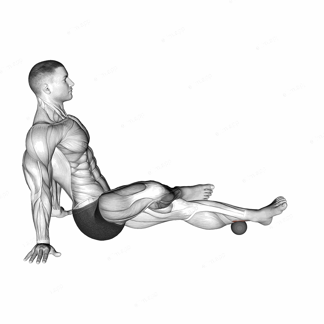 Roll Ball Tibialis Posterior exercise targeting Calves