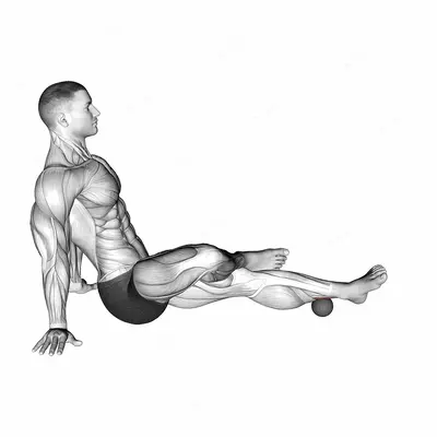 Roll Ball Tibialis Posterior exercise targeting Calves