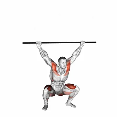 PVC Overhead Squat exercise targeting Thighs and Gluteus Maximus