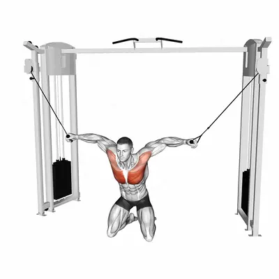 Cable Kneeling High to Low Fly exercise targeting Chest