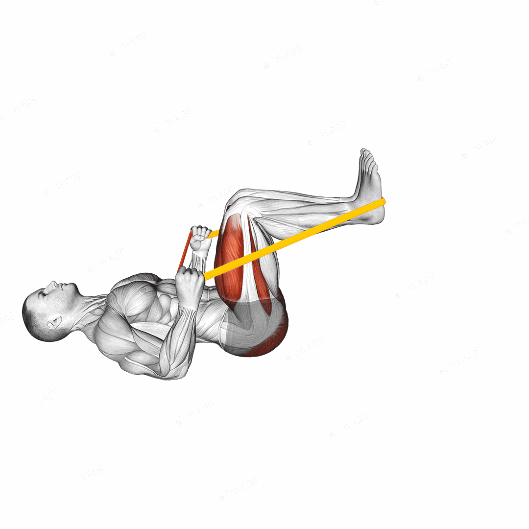 Resistance Band Lying Leg Press exercise targeting Thighs
