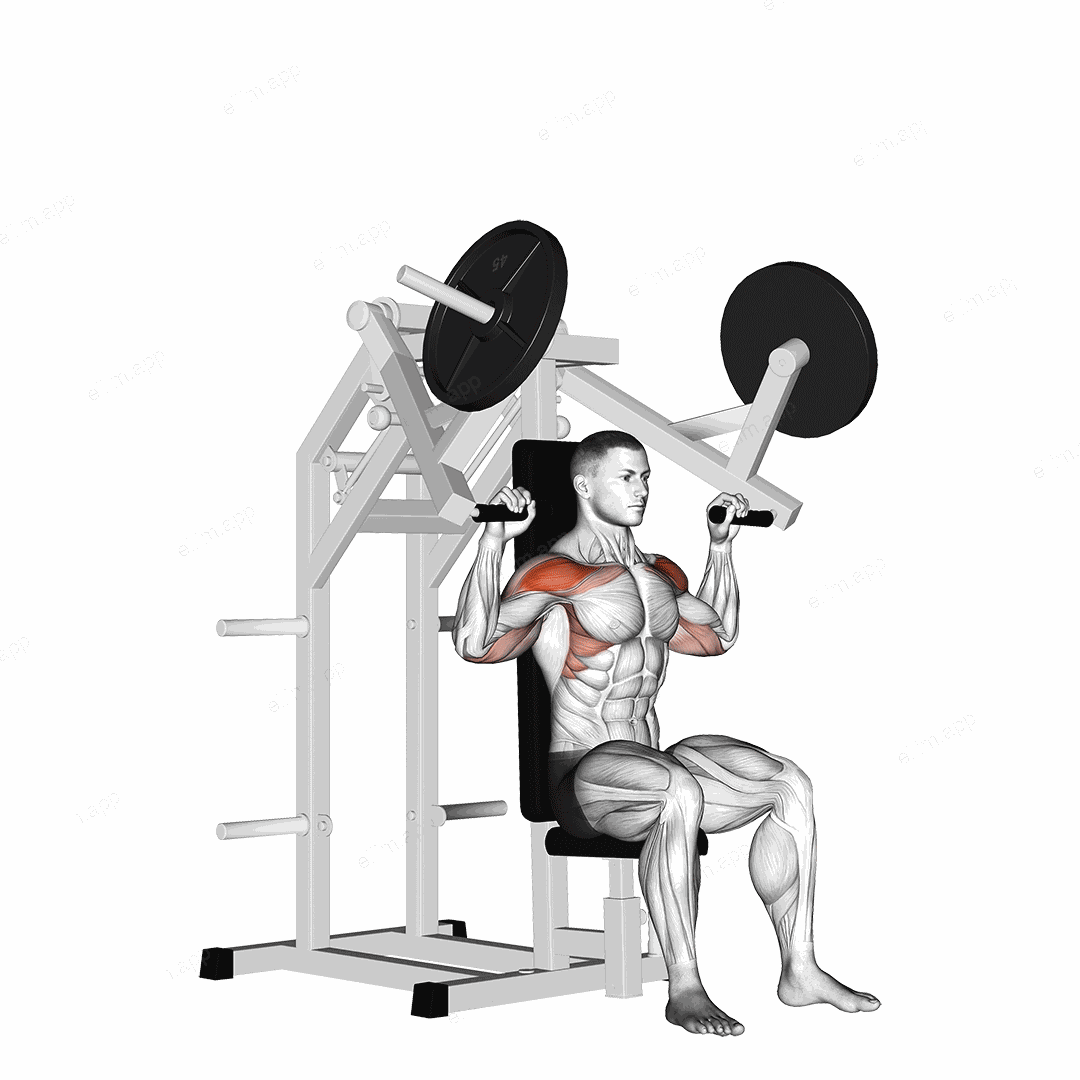 Lever Military Press (plate loaded) exercise targeting Shoulders and Deltoid Anterior