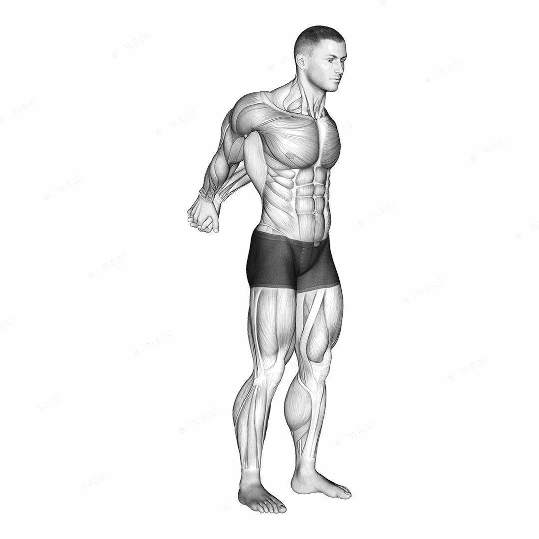 Straight Arms Backward Chest Stretch exercise targeting Chest