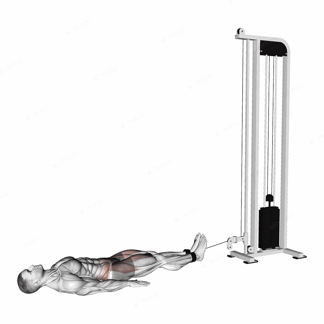 Cable Lying Hip Flexion (Reverse Squat) exercise targeting Hips