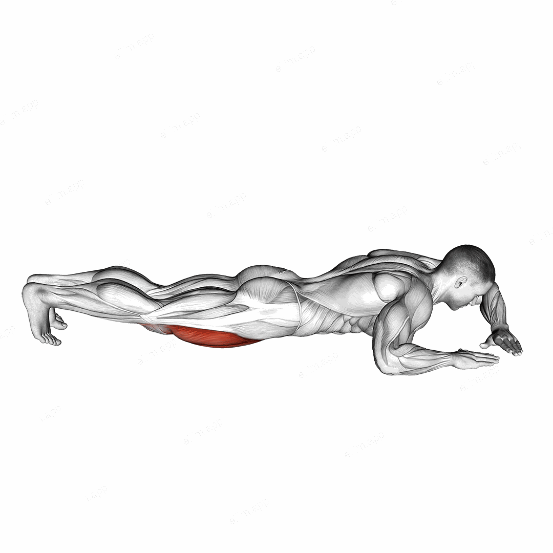 Lying (side) Quadriceps Stretch exercise targeting Thighs and Quadriceps