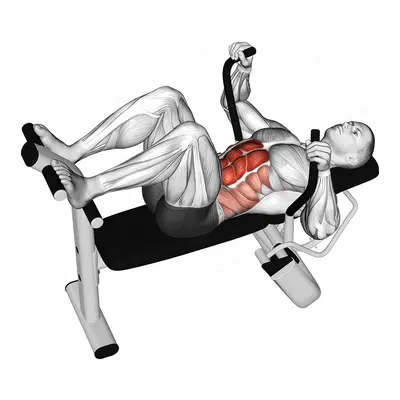 Lever Lying Crunch exercise targeting Waist and Rectus Abdominis