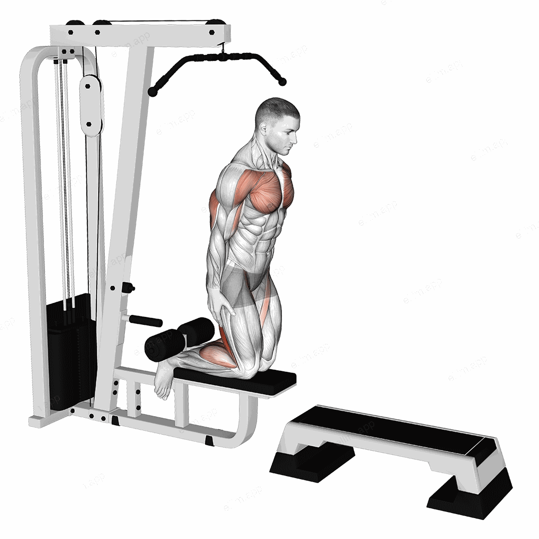 Inverse Leg Curl (on pull-up cable machine) exercise targeting Thighs and Hamstrings