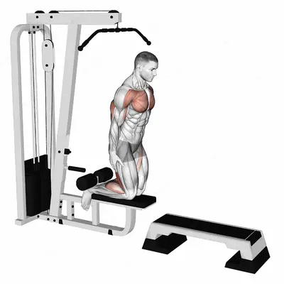 Inverse Leg Curl (on pull-up cable machine) exercise targeting Thighs and Hamstrings