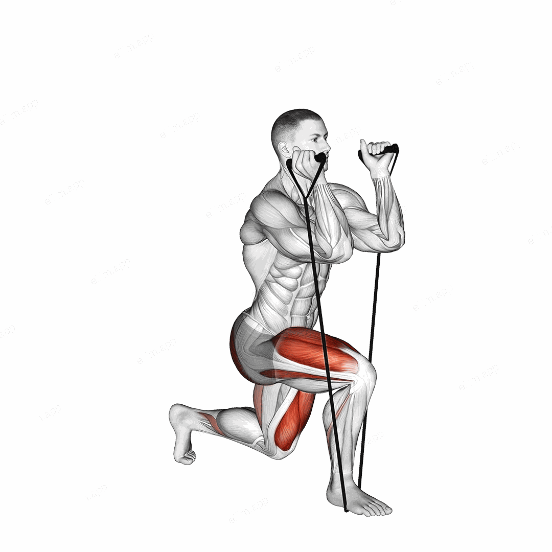 Band Split Squat exercise targeting Thighs and Gluteus Maximus